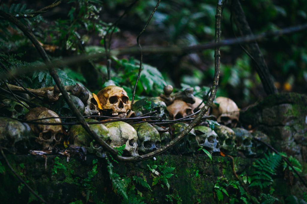 vLitecoin enters Death Cross as imminent bearish run aims to rid 2019 gainsLitecoin enters Death Cross as imminent bearish run aims to rid 2019 gainsLitecoin enters Death Cross as imminent bearish run aims to rid 2019 gains
