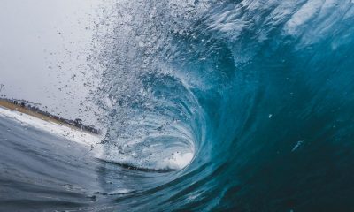 Litecoin might witness a bullish wave to $62 in the upcoming week