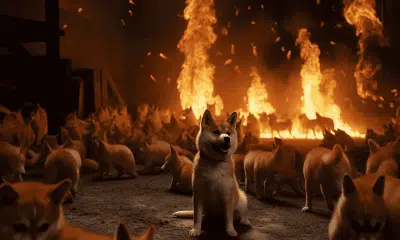 Shiba Inu burn rate surges by 900%, but SHIB remains red as..