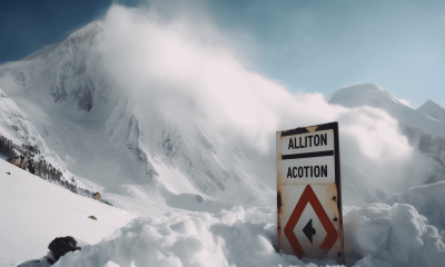 Avalanche: This is why investors should be cautious before making a decision 