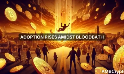 Raoul Pal's guide to crypto success amidst crypto bloodbath