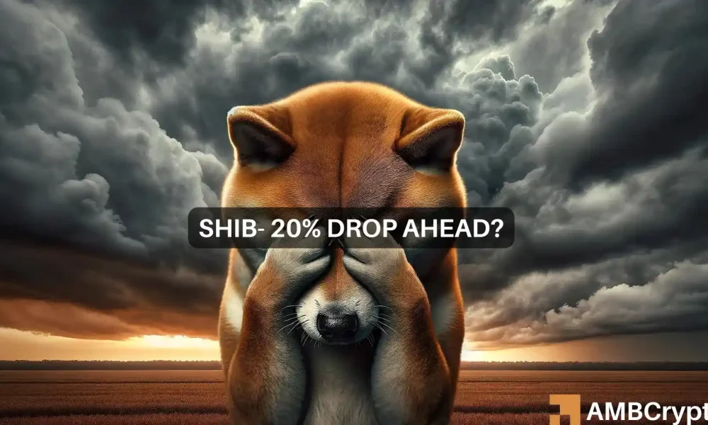 Shiba Inu: Should you trust this indicator and buy SHIB today?