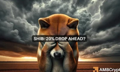 Shiba Inu 30% Sunday surge was just a mirage, here's why