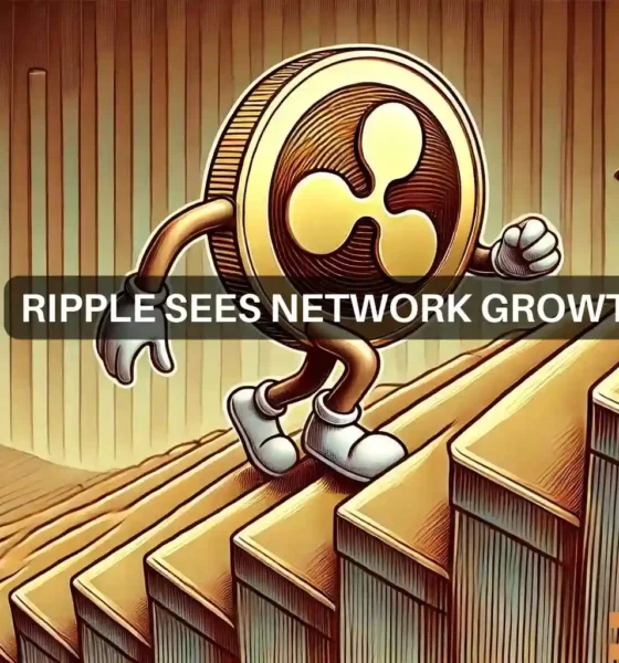 XRP market watch - Can network activity help altcoin after 9% drop?