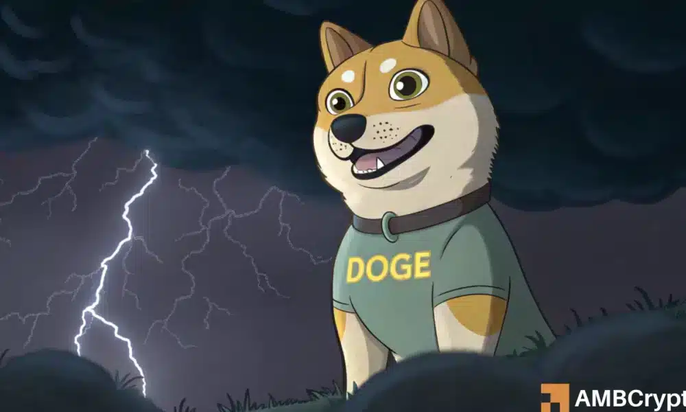 Dogecoin’s trading volume hits B amid price crash: What now?