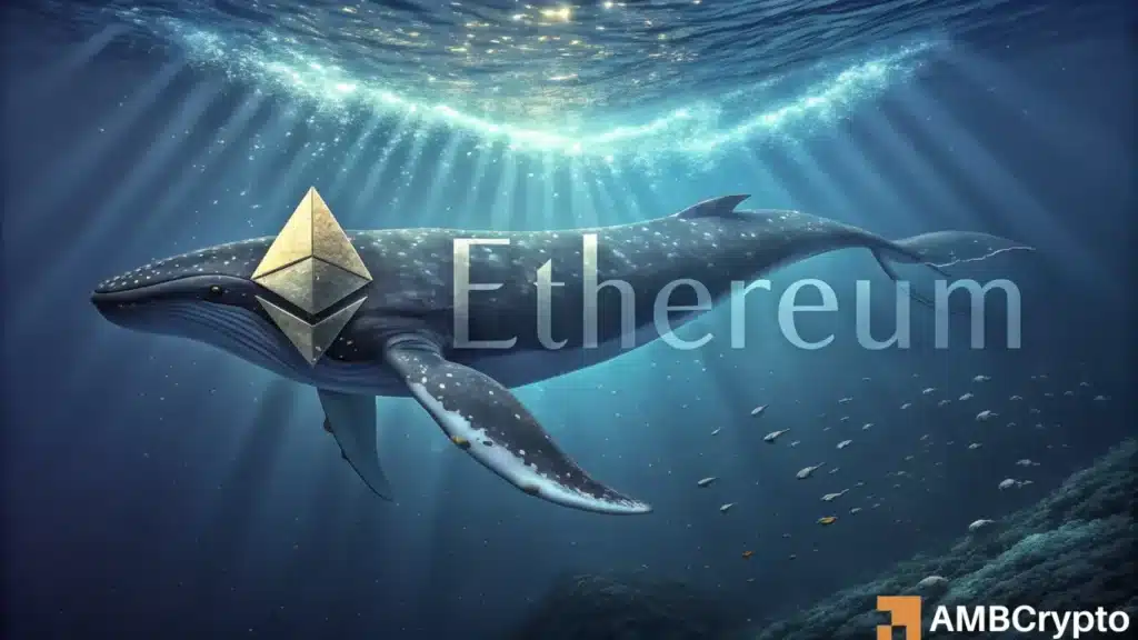 Whales withdraw over $90 million in Ethereum post-rebound: Is ETH gearing up for a rally?