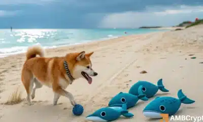 SHIB whale earns millions