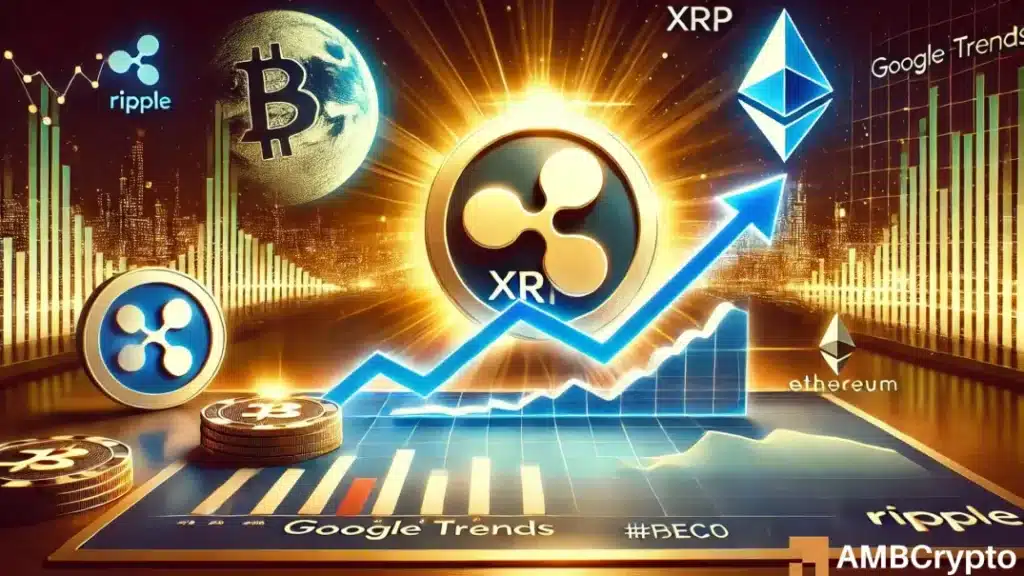 XRP Search