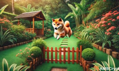 Shiba Inu price prediction