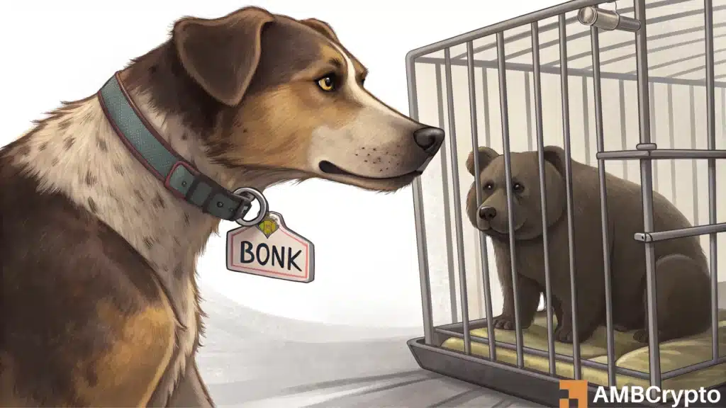 BONK: After a $11.4 mln sell-off, can the memecoin beat January highs?