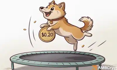 DOGE