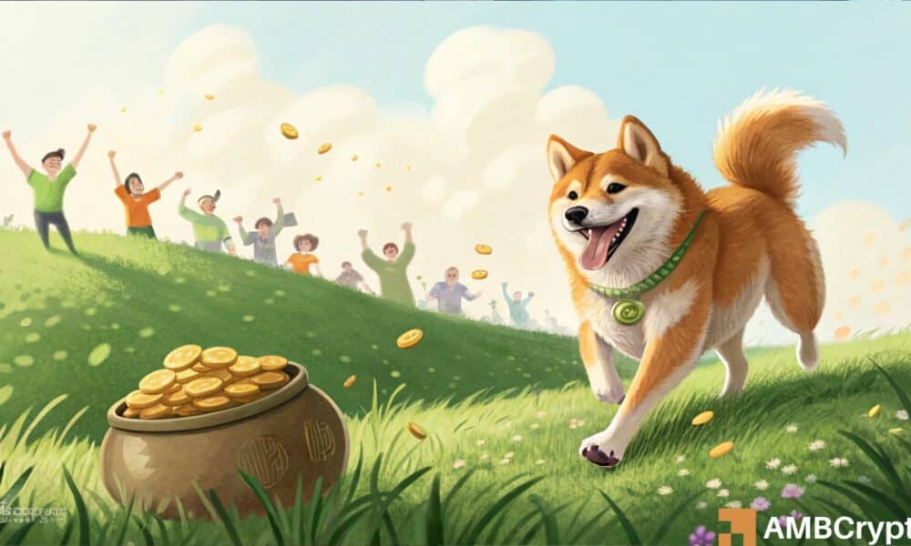 What is WIF and is dogwifhat a good investment?