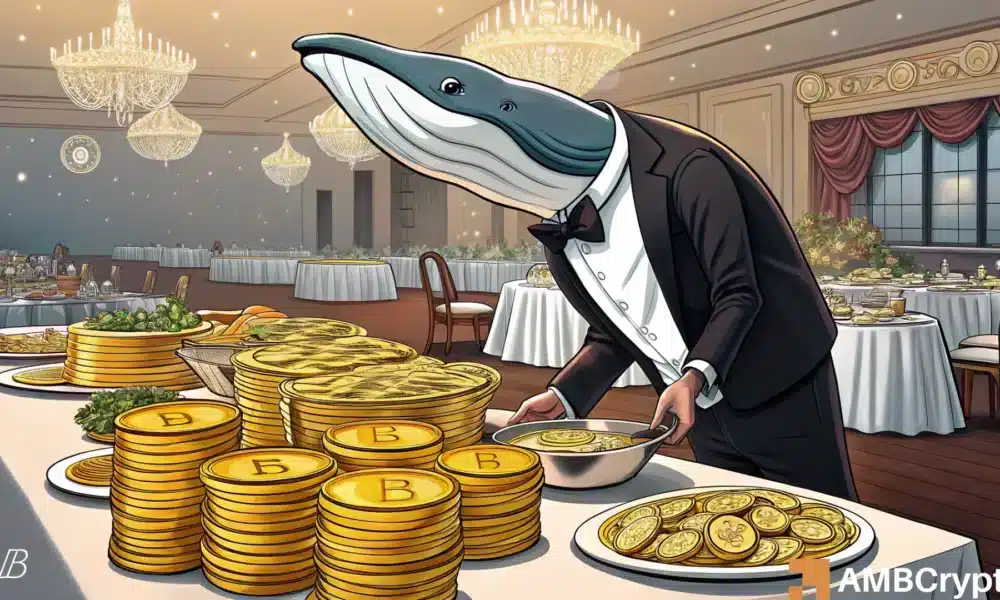 Bitcoin: Weaker hands panic as BTC dips, but whales dive in