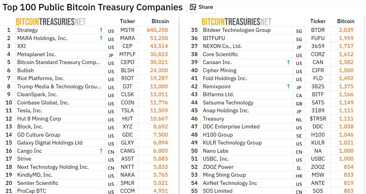 Bitcoin treasuries company